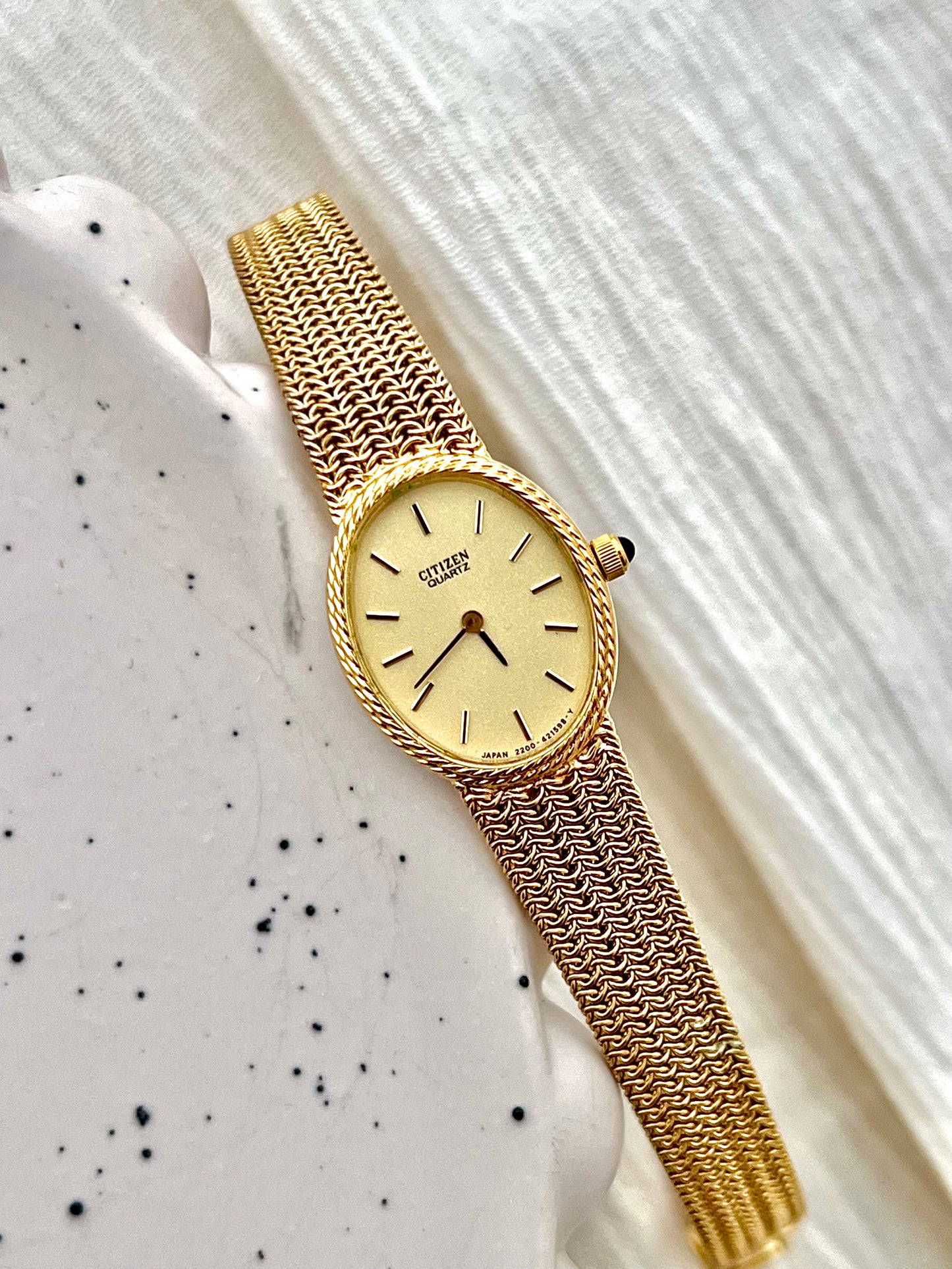 Citizen Ladies Watch with Rope Bezel and Chain Mesh Bracelet