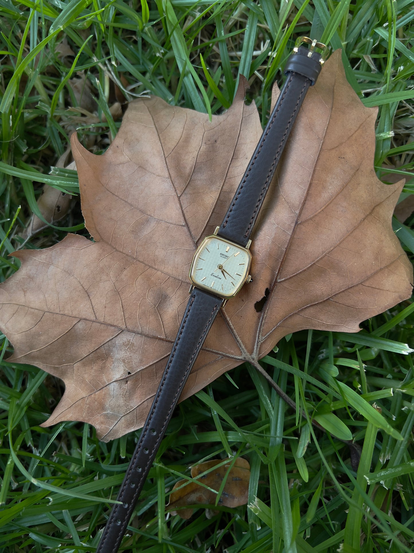 Seiko Exceline Soft Decagon Woman's Watch with Textured Dial