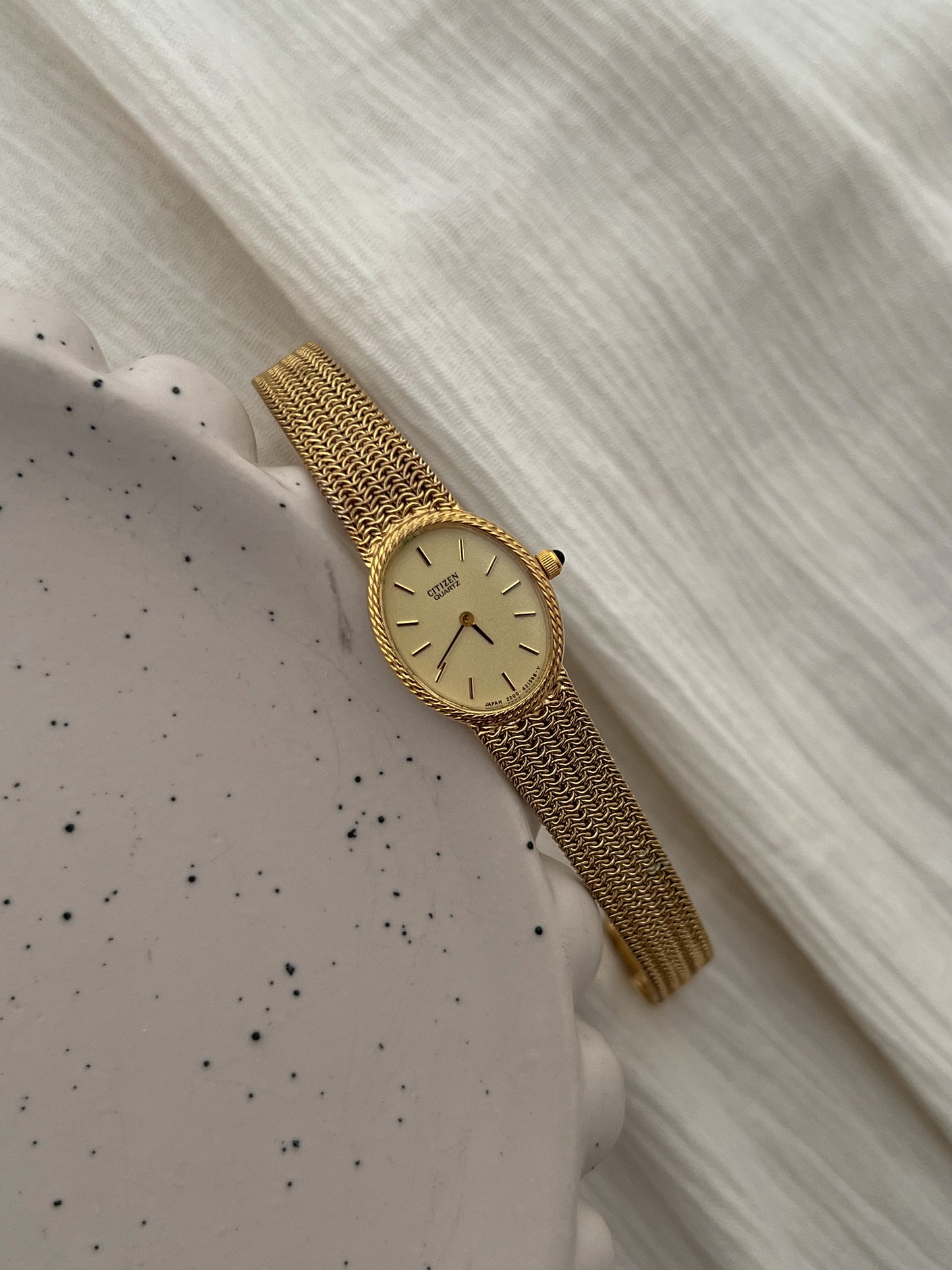 Citizen Ladies Watch with Rope Bezel and Chain Mesh Bracelet