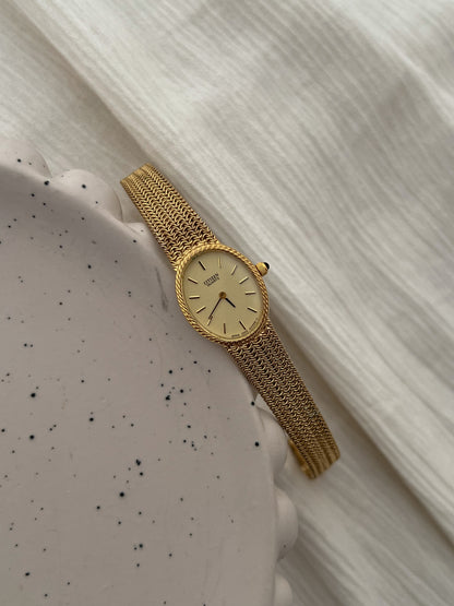 Citizen Ladies Watch with Rope Bezel and Chain Mesh Bracelet
