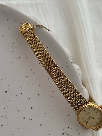 Citizen Ladies Watch with Rope Bezel and Chain Mesh Bracelet