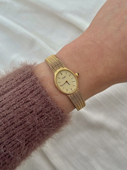 Citizen Ladies Watch with Rope Bezel and Chain Mesh Bracelet