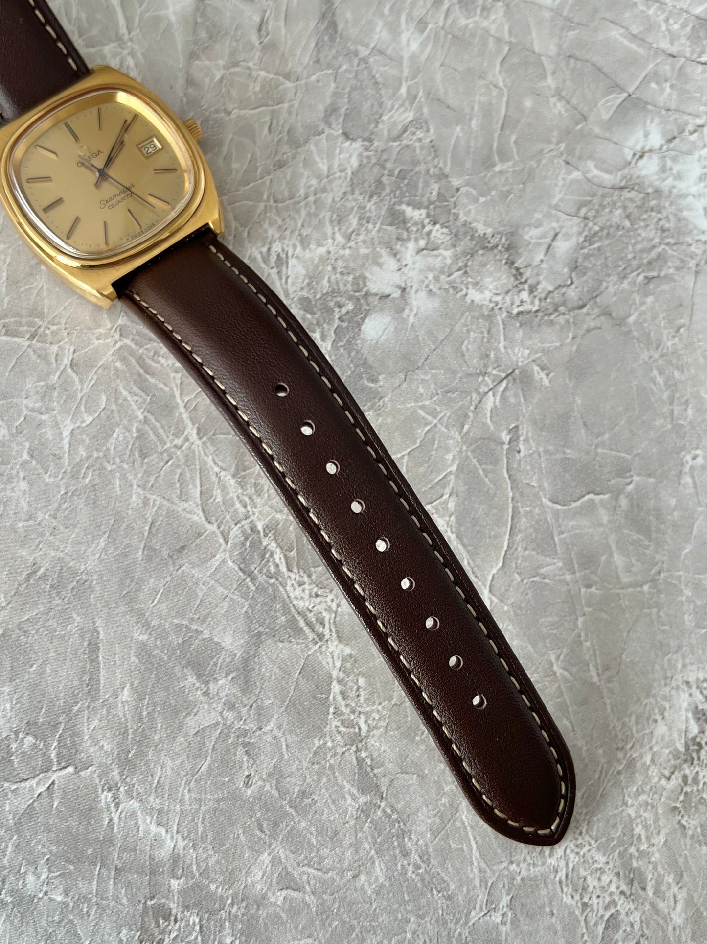 Omega Seamaster Champagne Dial Men's Watch