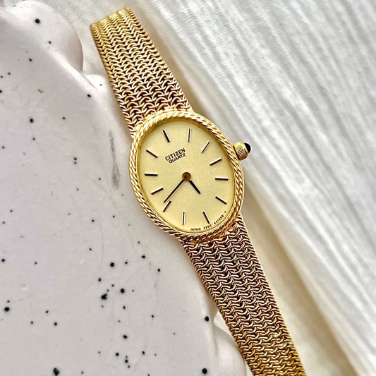 Citizen rope-bezel watch with gold-tone chain mesh bracelet and presentation box.