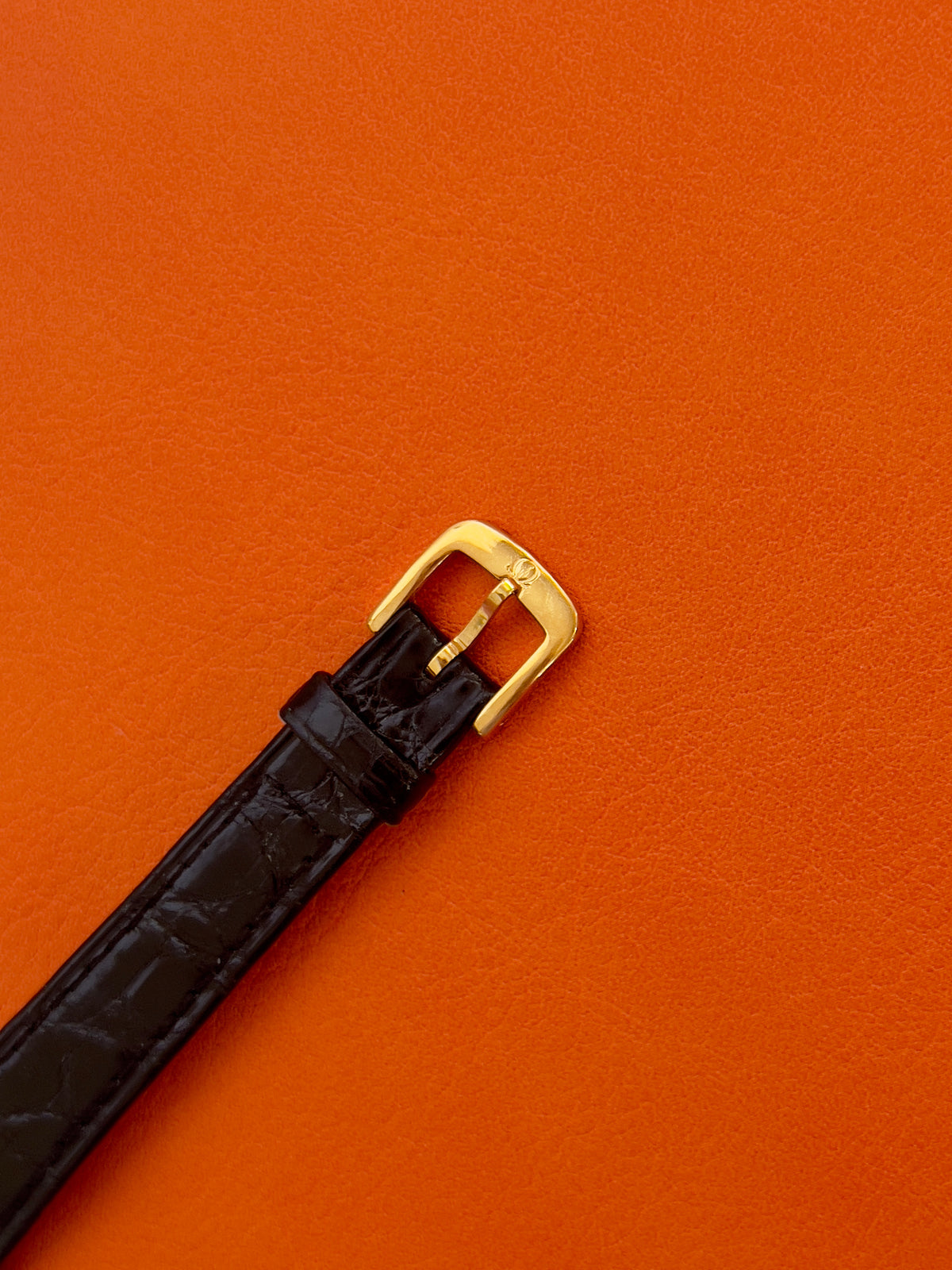 Caseback detail of a vintage Omega gold-tone cushion watch with champagne dial.