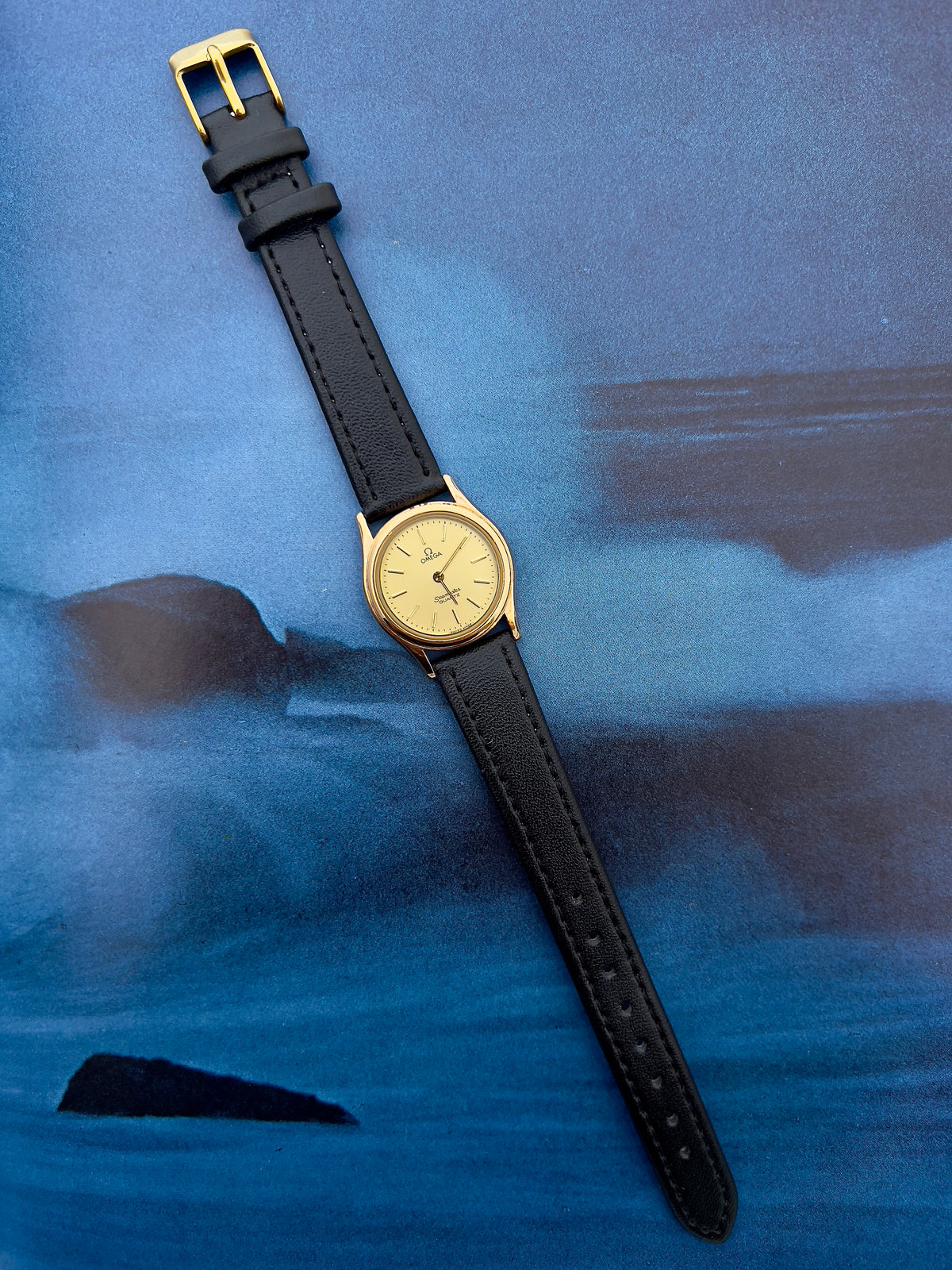 Omega Seamaster champagne dial watch shown on a wrist.