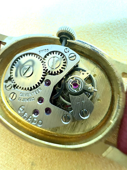 Rado Gold Toned Oval Woman's Watch