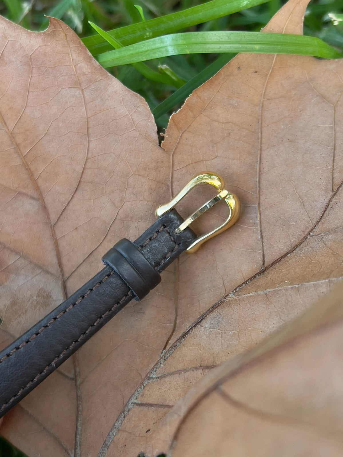 Seiko Exceline Soft Angular Gold Tone Women's Watch | Product photograph 3